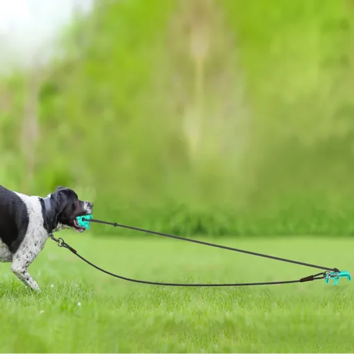 Training Dog Toy outdoors Screw into the ground pegs with traction rope Walk the dog toys Pet supplies tie the dog pegs - Image 4